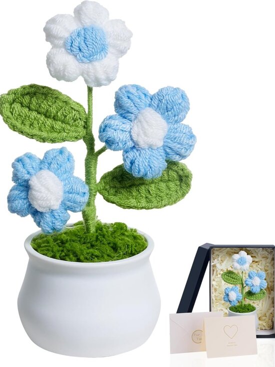 Other - Blue Crochet Puff Flowers Potted Plants, Small Handmade Graduation Anniversary A